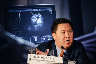 Judge James Ho and a sonogram