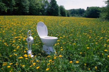 Toilet and toilet paper holder in field of dandelions
