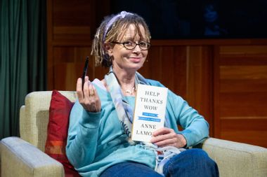 Image for Author Anne Lamott receives backlash from Taylor Swift fans for bashing artist on X 