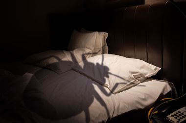 Shadow of a bedbug looming over a bed