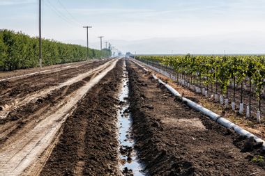 California irrigation ditch orchard