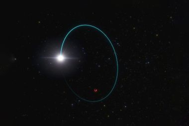 System with the most massive stellar black hole in our galaxy