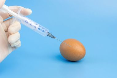 A hand in a medical glove injects a syringe into a chicken egg