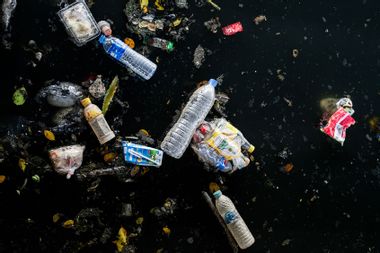Plastic bottles single-use plastic waste