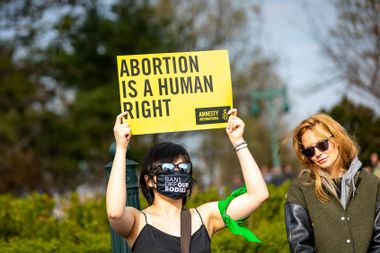 Pro-choice Protester Demonstrator