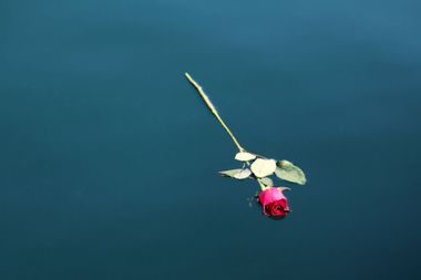 Rose Floating In The Sea