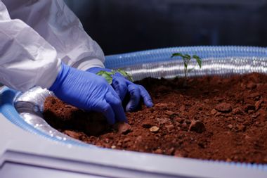 Scientist planting seedlings on a Mars base