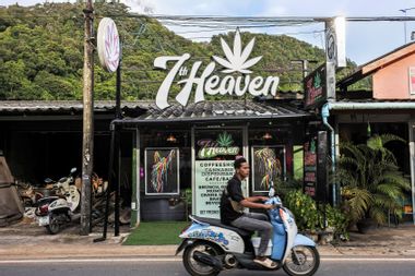 Thailand Cannabis Marijuana Shop