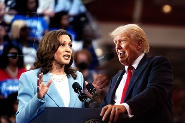 Kamala Harris; Donald Trump