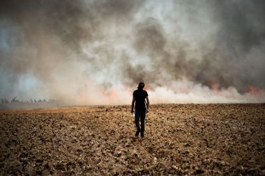 Climate Protester walking towards a wildfire started by a launched tear gas canister