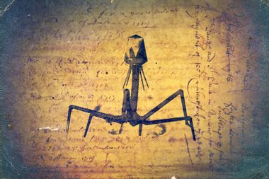 Bacteriophage illustration on old papers