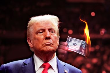 Donald Trump Burning Money