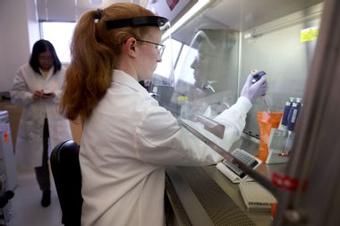 Microbiologist Scientist tests for bird flu avian influenza