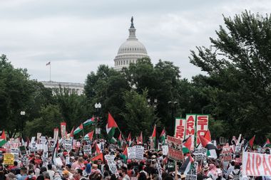 Pro Palestinian Gaza Protest Washington DC Capitol