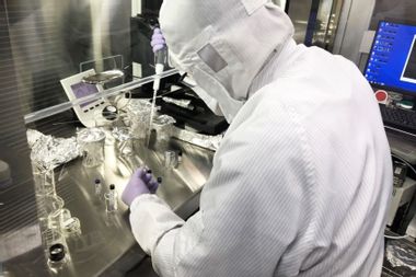 Scientist looking at asteroid Ryugu samples