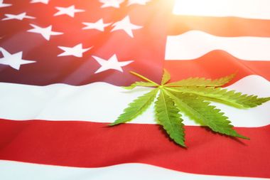 Hemp leaf on an American Flag 