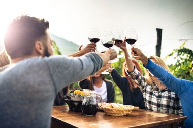 Friends toasting with wine