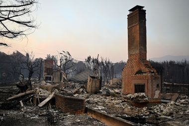 Chimneys of burnt down home Palisades California Los Angeles LA