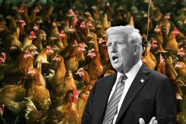 Donald Trump; Chickens; Bird Flu; Farm; Avian Flu