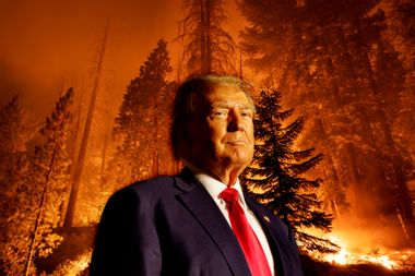 Donald Trump; Wildfire