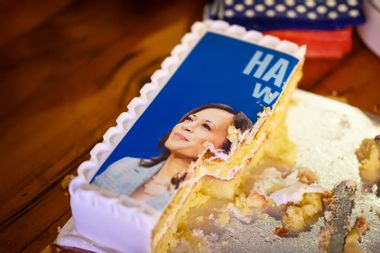 remains of Kamala Harris election campaign cake