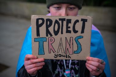 Trans rally protest sign ally