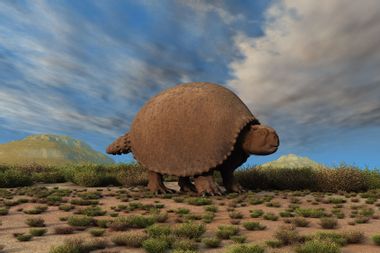 Glyptodon