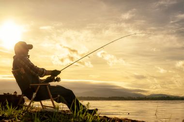 Top 4 Article