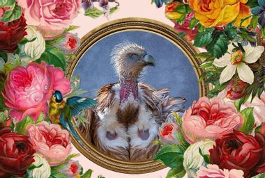 A vulture bird in a frame with a floral backdrop