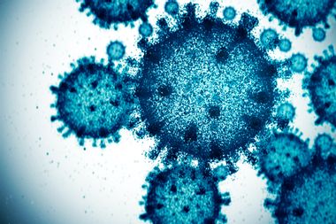 Image for It's time to make friends with your viruses