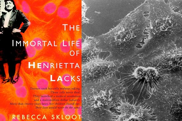 "The Immortal Life Of Henrietta Lacks" | Salon.com