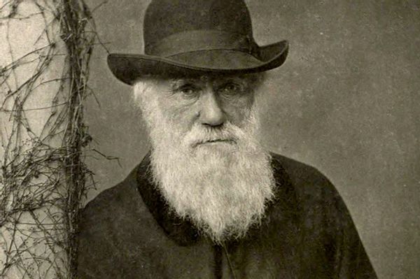 Secrets of Charles Darwin's breakthrough: The real story of how we got ...