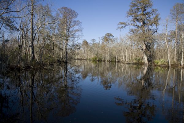 Is Louisiana's coastline beyond saving? | Salon.com