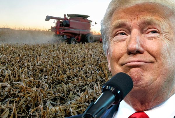 Trump's Trade War Leads To The Lowest Income For American Farmers In ...