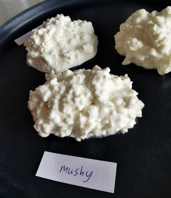 Mushy Cottage Cheese