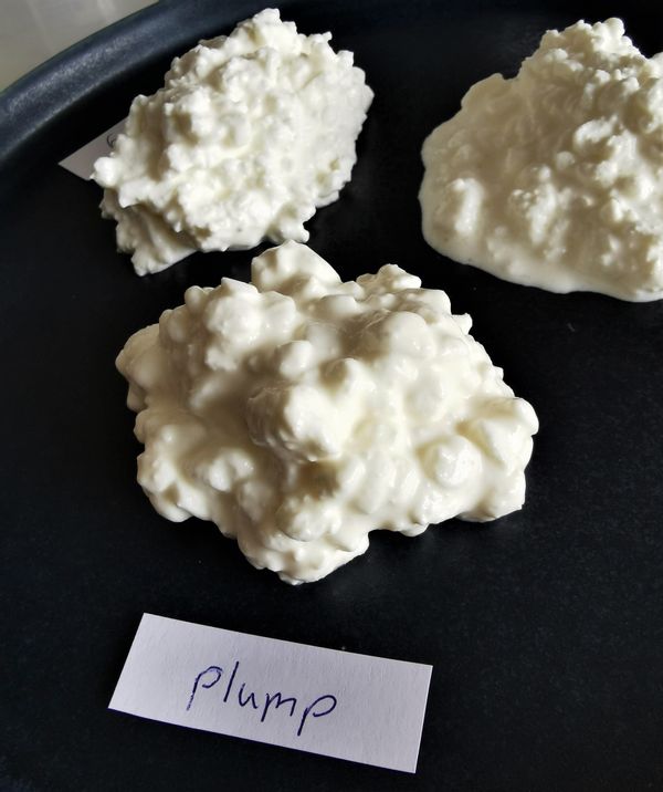 Plump Cottage Cheese