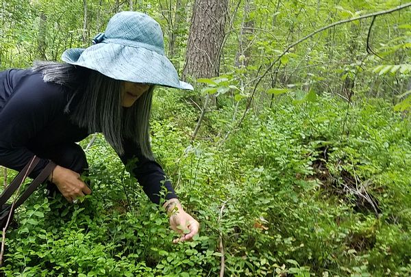 Naomi picking berries in Joensuu