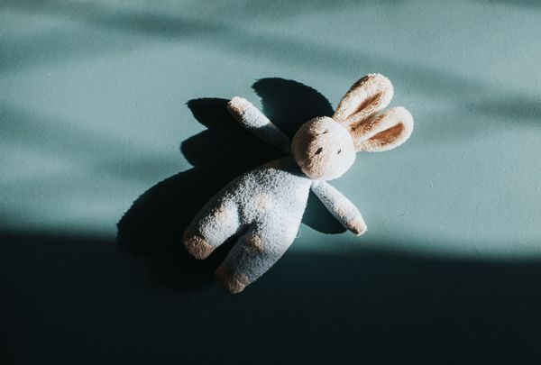 A bunny stuffed animal