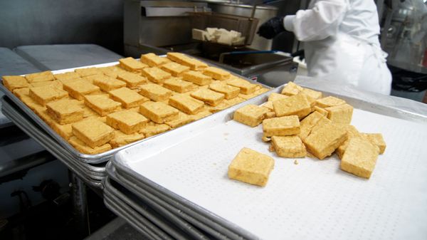 Blocks of crispy tofu