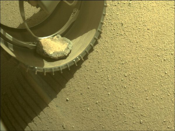 Rock stuck in Perseverance rover's shoe