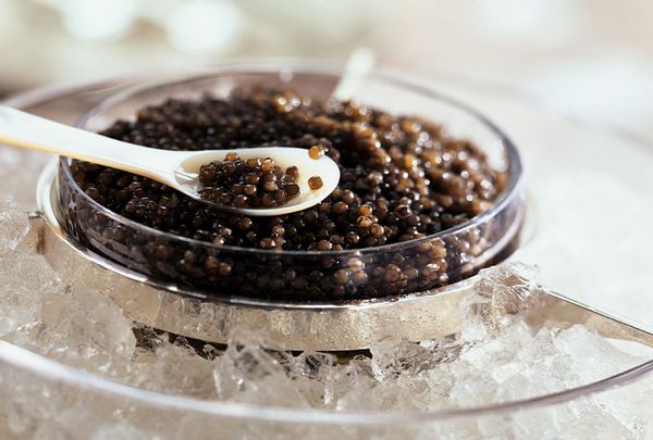 Caviar in ice and on white spoon