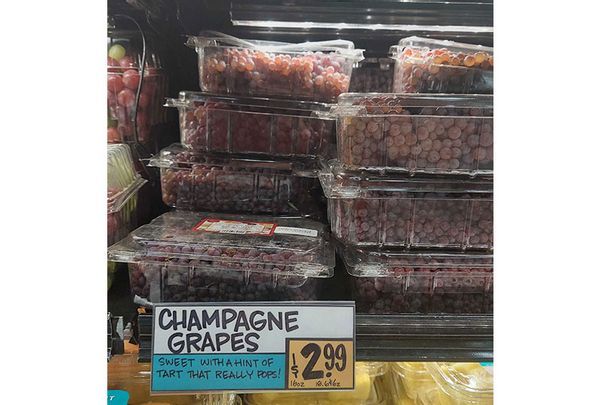 Champagne Grapes