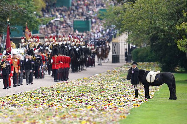 Emma, the monarch's fell pony stands by, as the Procession following the coffin of Queen Elizabeth II
