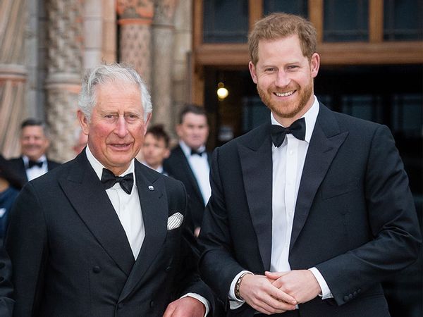 Prince Charles, Prince of Wales and Prince Harry, Duke of Sussex