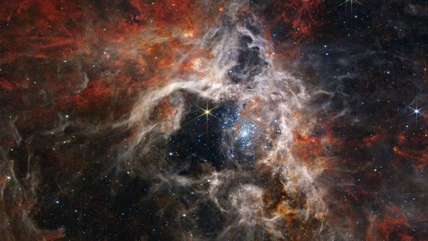 Star-forming region of the Tarantula Nebula