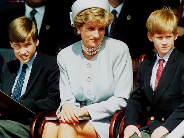 Princess Diana, Princess of Wales with her sons Prince William and Prince Harry