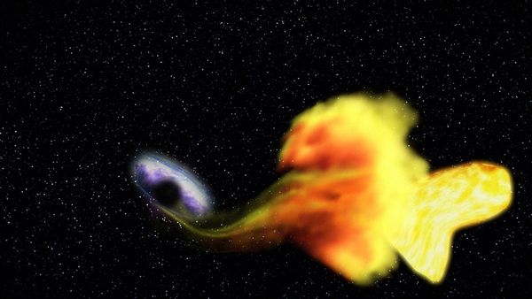 A black hole devouring a star