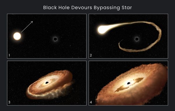 Black Hole Devours Bypassing Star