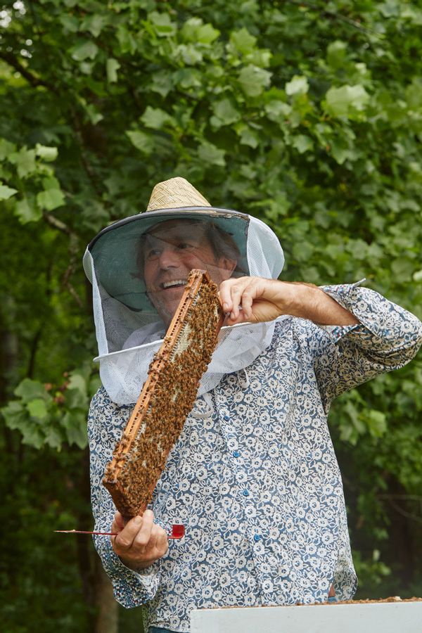 Bee Pollen – Savannah Bee Company