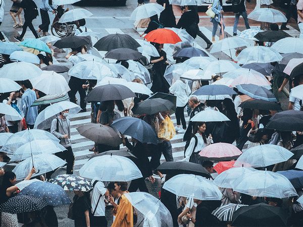 People walking under umbrellas on a rainy day in Shibuya